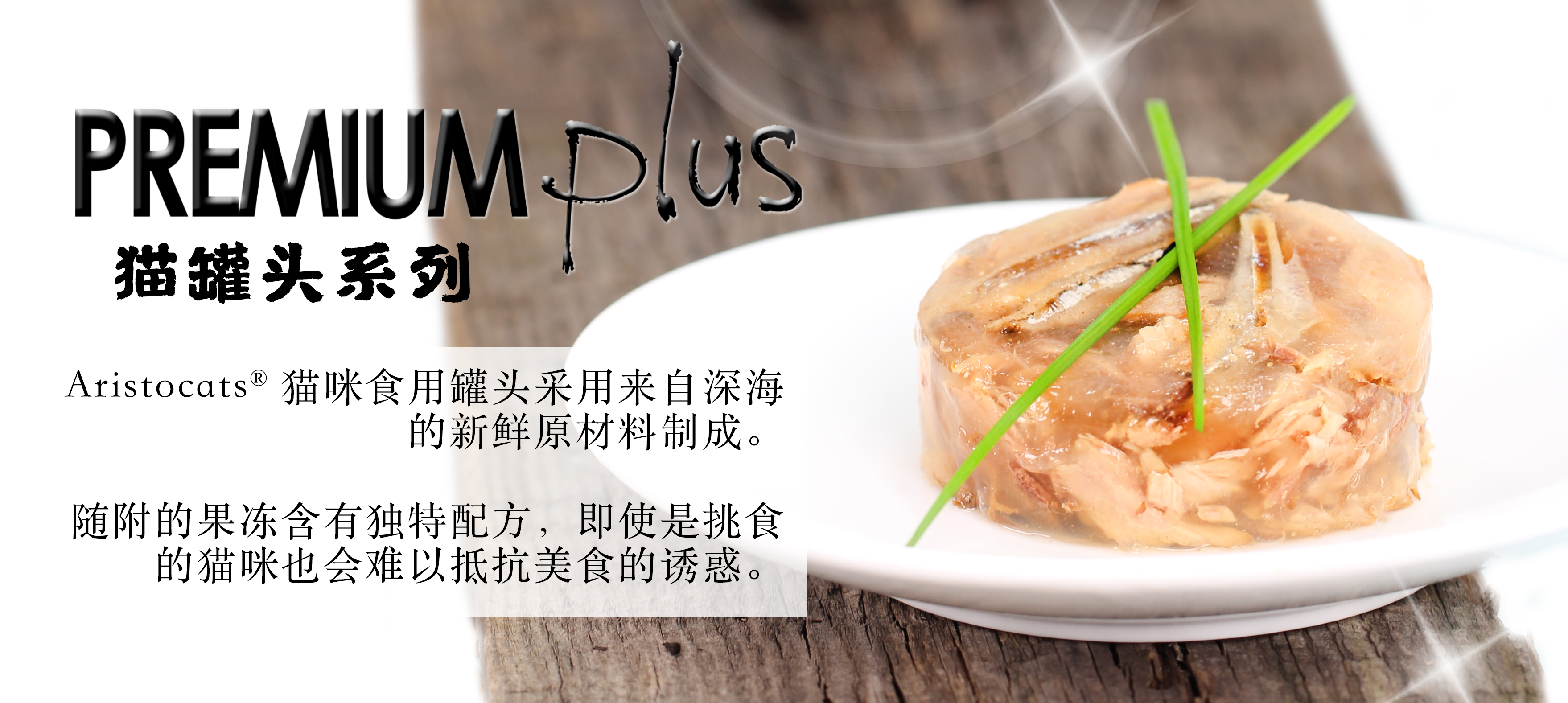 Can Food Poster-Chi.jpg